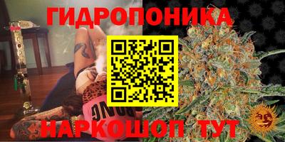 ALPHA PVP Чебоксары